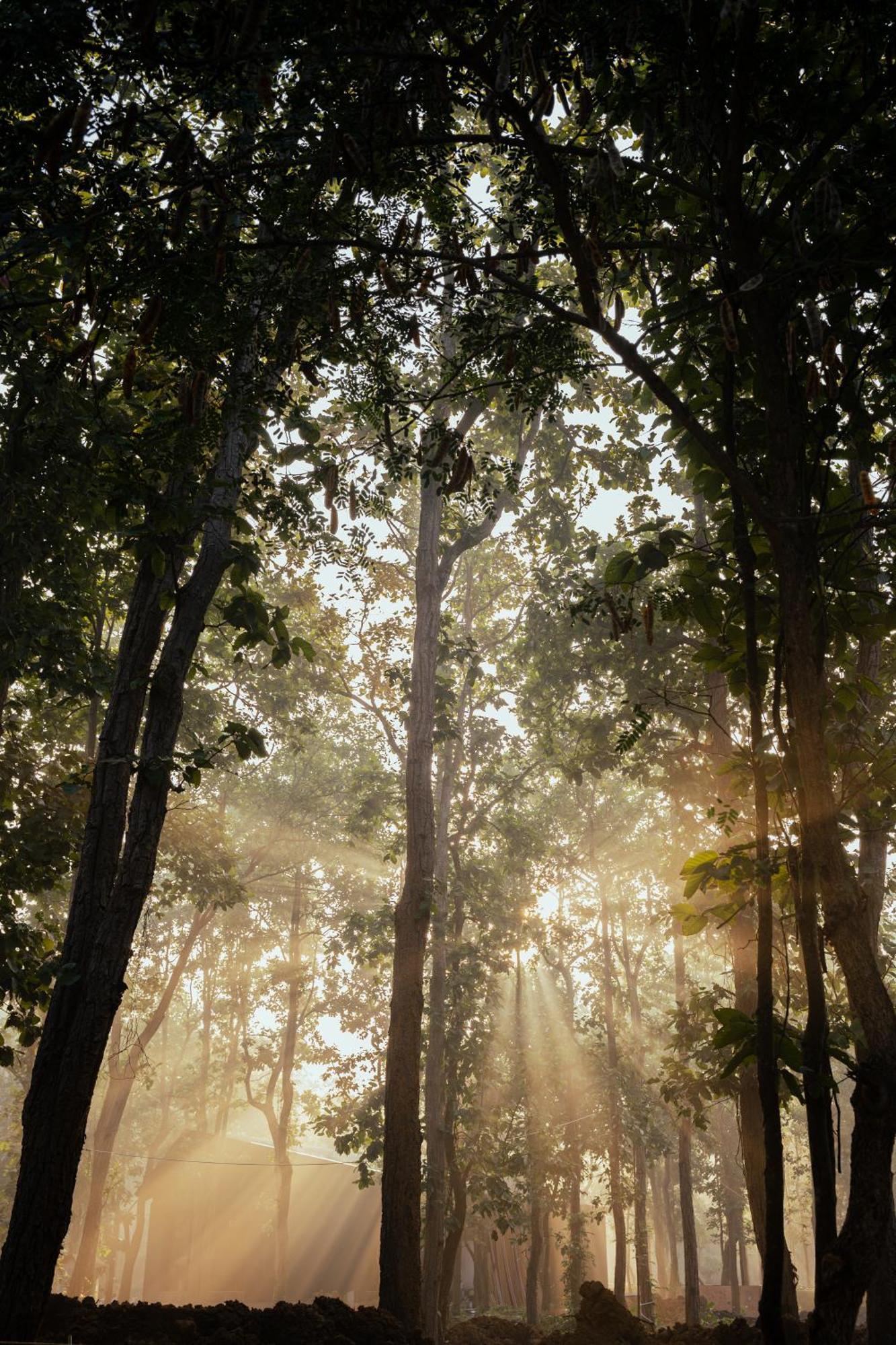 Hotel Sonar Bangla Joypur Forest Kültér fotó